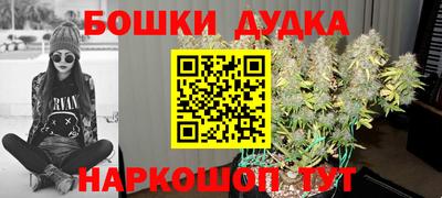Альфа ПВП Лесосибирск