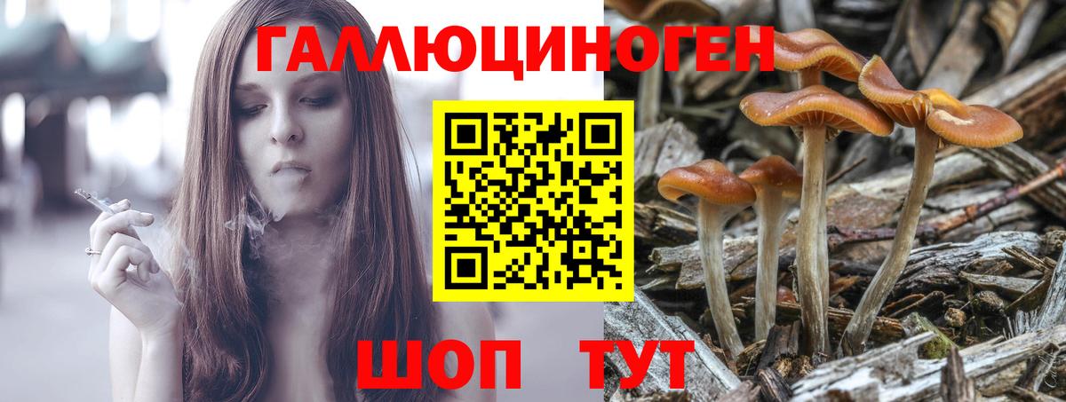 Галлюциногенные грибы прущие грибы Тулун