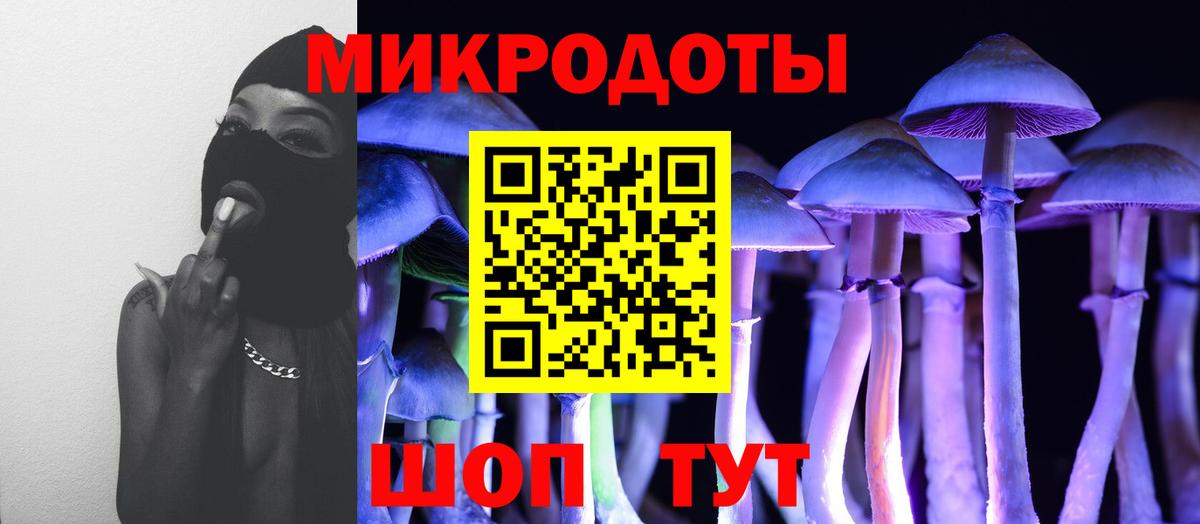 Тулун  Псилоцибиновые грибы прущие грибы  Вход с VPN 